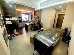 Parc Vista (D22), Condominium #462785491